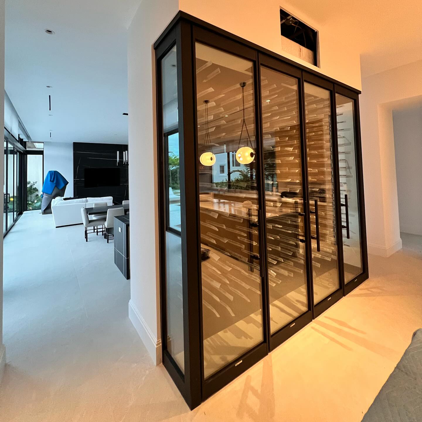 Custom wine collection enclosed with architectural glass